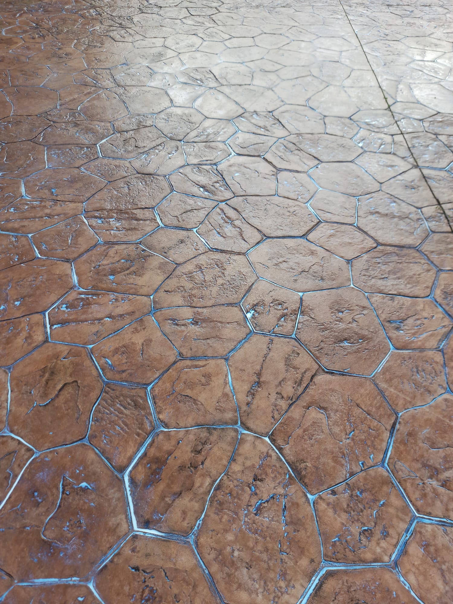 Pose de dalles de béton avec finitions variées à Marseille